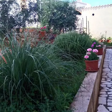 Apartment Roza